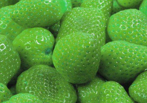 绿色水果大集结,你知道有哪些绿色奇葩水果 绿色草莓你见过吗