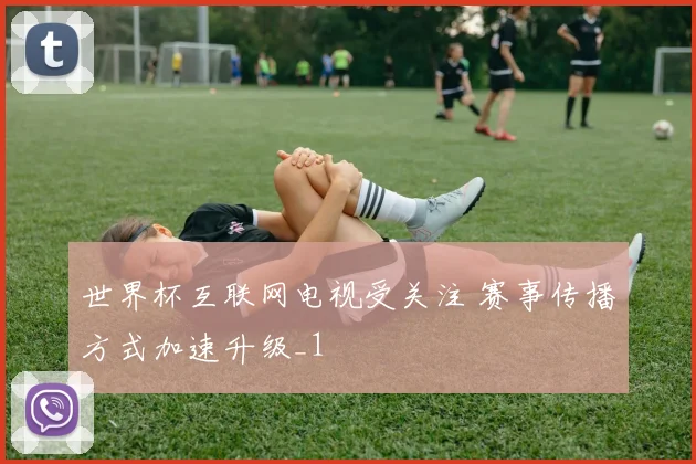 世界杯互联网电视受关注 赛事传播方式加速升级_1