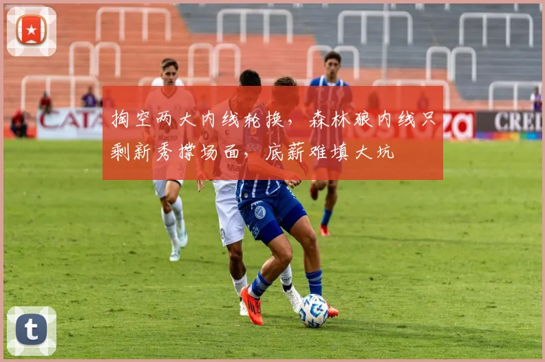 掏空两大内线轮换，森林狼内线只剩新秀撑场面，底薪难填大坑
