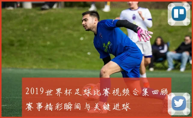 2019世界杯足球比赛视频合集回顾赛事精彩瞬间与关键进球