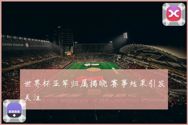 世界杯亚军归属揭晓 赛事结果引发关注