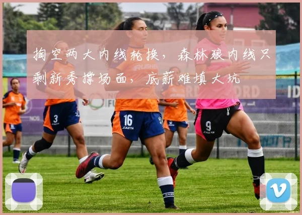 掏空两大内线轮换，森林狼内线只剩新秀撑场面，底薪难填大坑