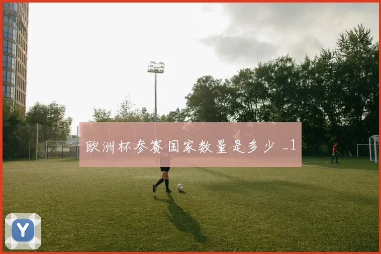 欧洲杯参赛国家数量是多少 _1