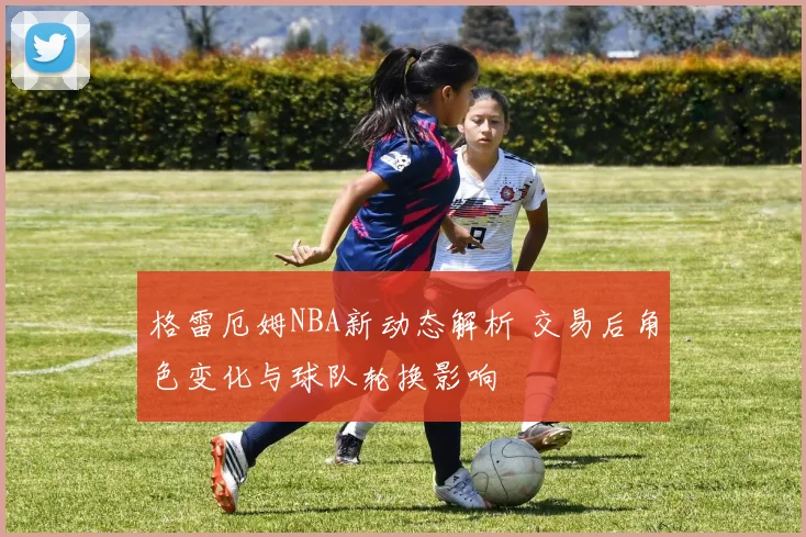 格雷厄姆NBA新动态解析 交易后角色变化与球队轮换影响