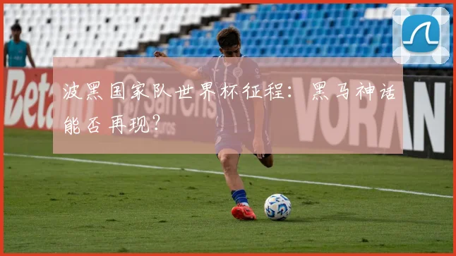 波黑国家队世界杯征程:黑马神话能否再现?