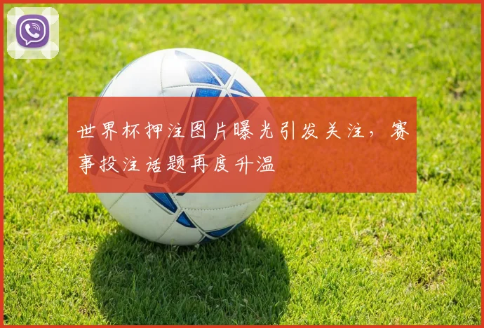 世界杯押注图片曝光引发关注，赛事投注话题再度升温