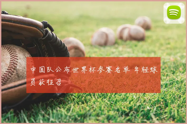 中国队公布世界杯参赛名单 年轻球员获征召