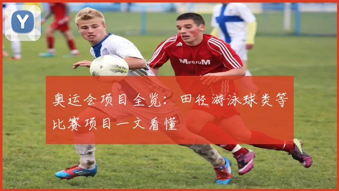 奥运会项目全览：田径游泳球类等比赛项目一文看懂