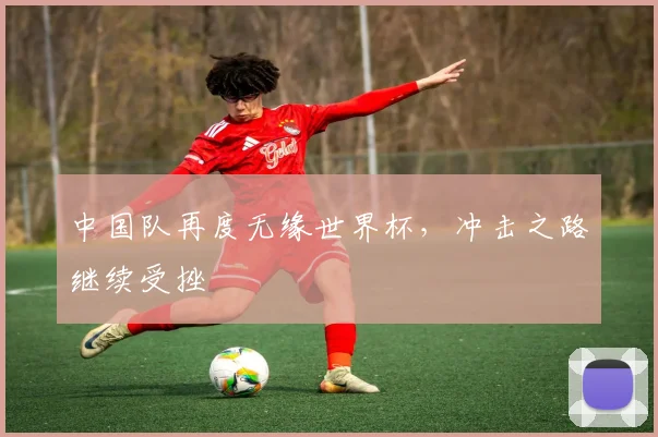 中国队再度无缘世界杯,冲击之路继续受挫